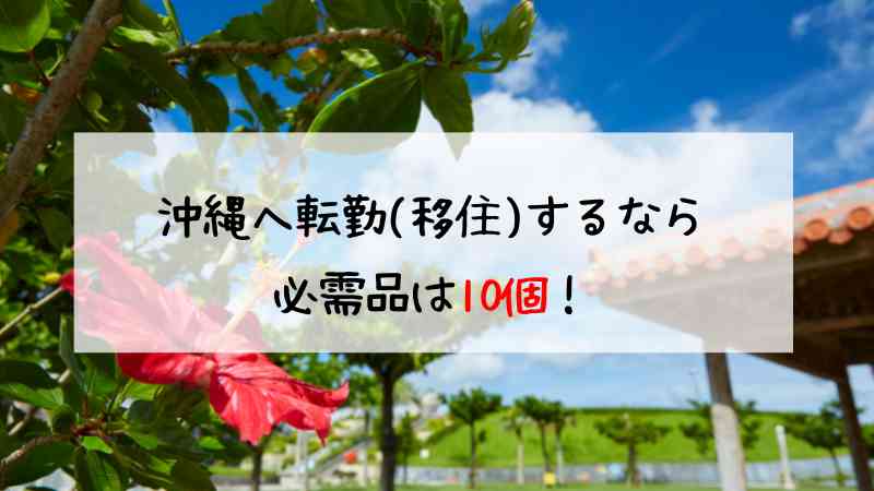 沖縄へ子連れ転勤(移住)の必需品は10個！買ったものと捨てたものは？買ったものと捨てたものは？